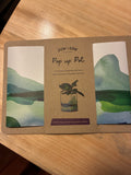Pop up Pot Sow n Sow